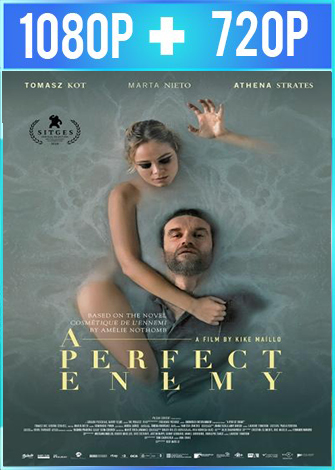 Cosmetica del enemigo 2020 ES EN